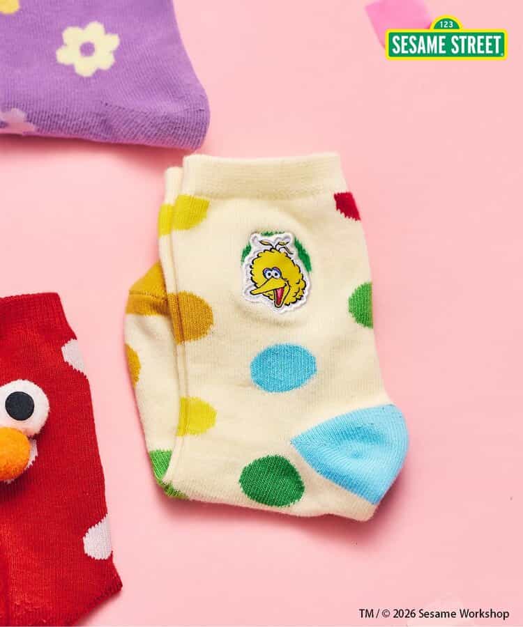 セサミストリート アソートソックス（V154936）|apres les cours