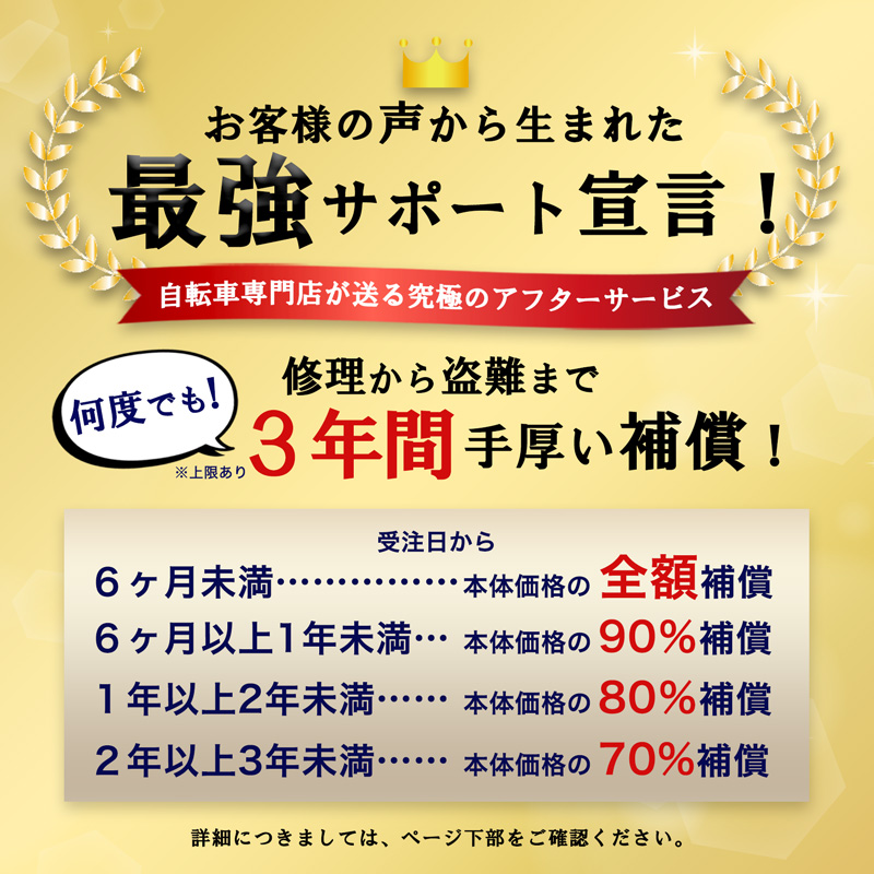 電動アシスト自転車 DA203 | 21テクノロジー ONLINE STORE