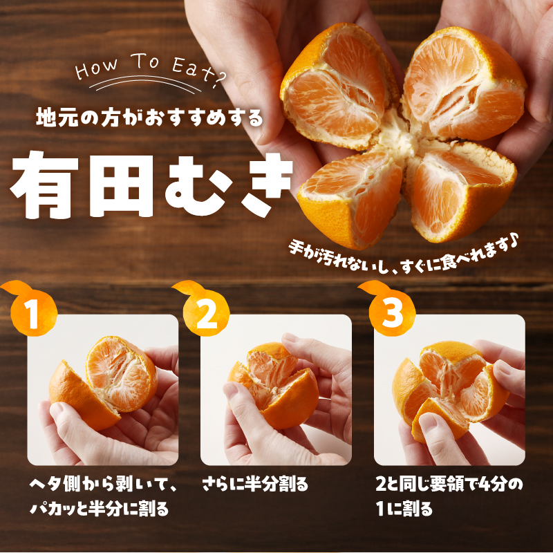 有田みかん「未来への虹」（5kg）(A973-2) : 有田市ANAのふるさと納税