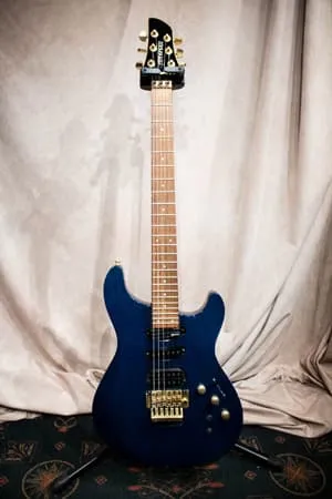 FERNANDES APG-85S フェルナンデス サスティナー エレキギター - 楽器