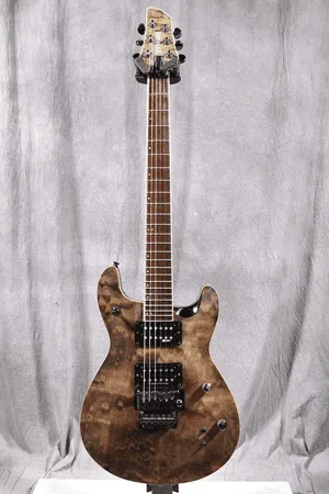FERNANDES/フェルナンデス エレキギター APG-85S - 楽器の買取屋さん
