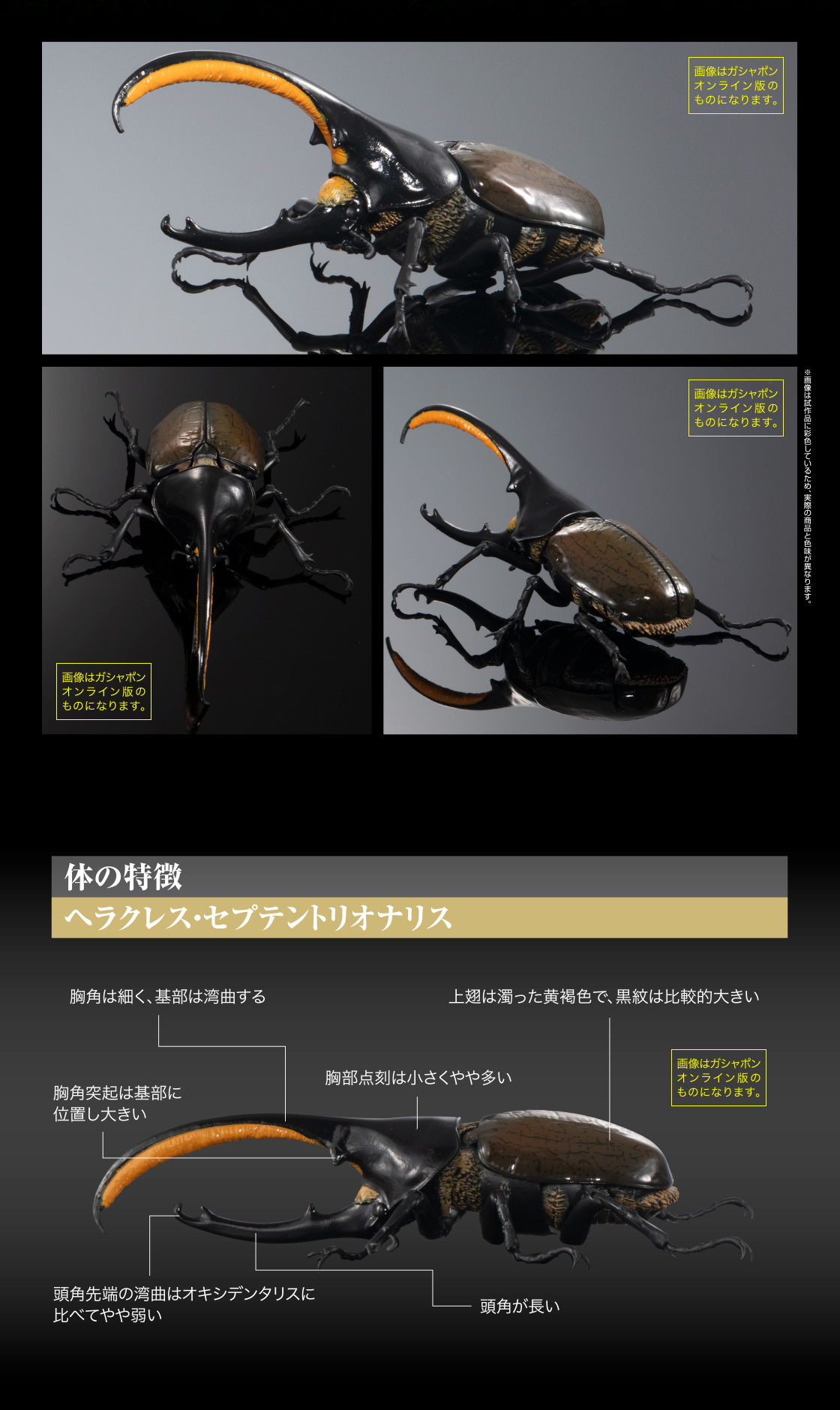 いきもの大図鑑アドバンス ヘラクレスオオカブト｜いきもの大図鑑