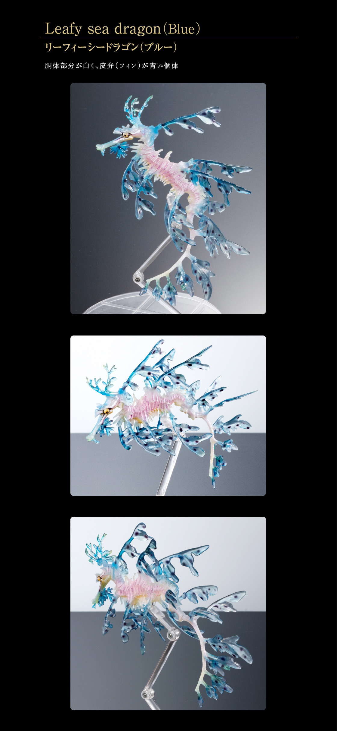 いきもの大図鑑プレミアム リーフィーシードラゴン｜いきもの大図鑑