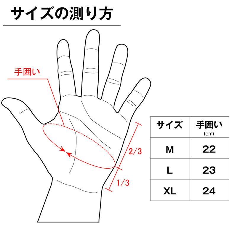 新色追加】EXレザーグローブ – ゴールドジム公式オンラインストア