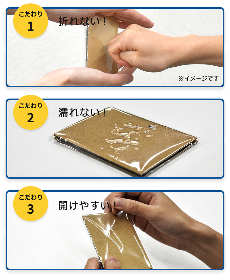 どうぶつの森amiiboカード CP とたけけ【ぴこぷり限定】 | どうぶつの