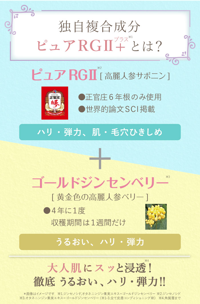 エスプリーナ RG2+ ジュエルカラー＆ロングフィット パーフェクト