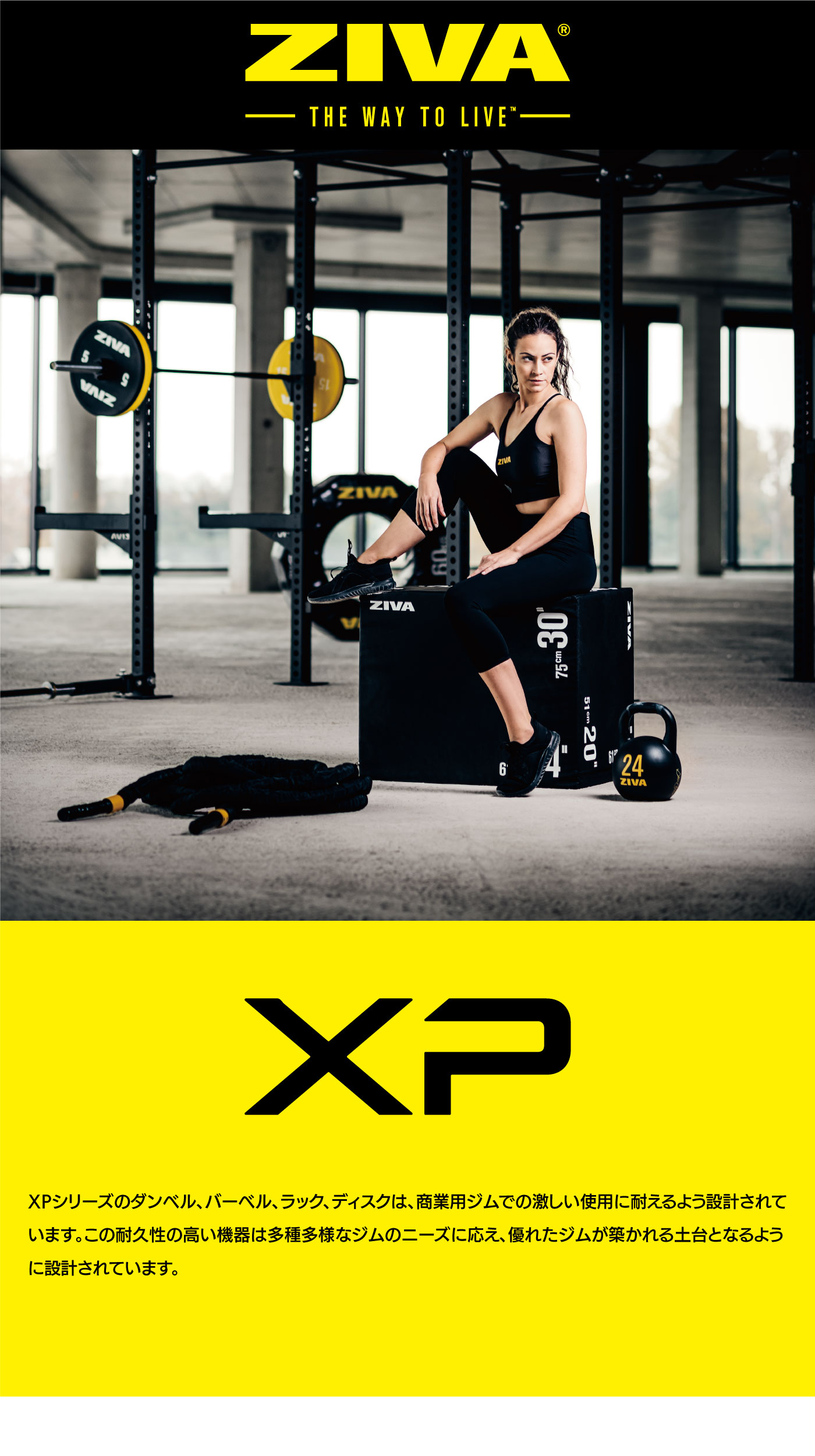 XP 42kg-50kg ウレタン ダンベル｜業務用ダンベル【ダンベル 鉄アレイ