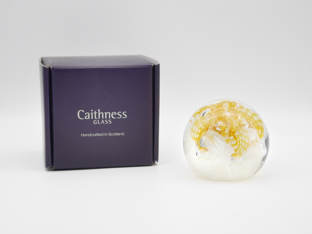 Caithness ペーパーウェイト Congratulation 祝辞 | 北一硝子 まごころ