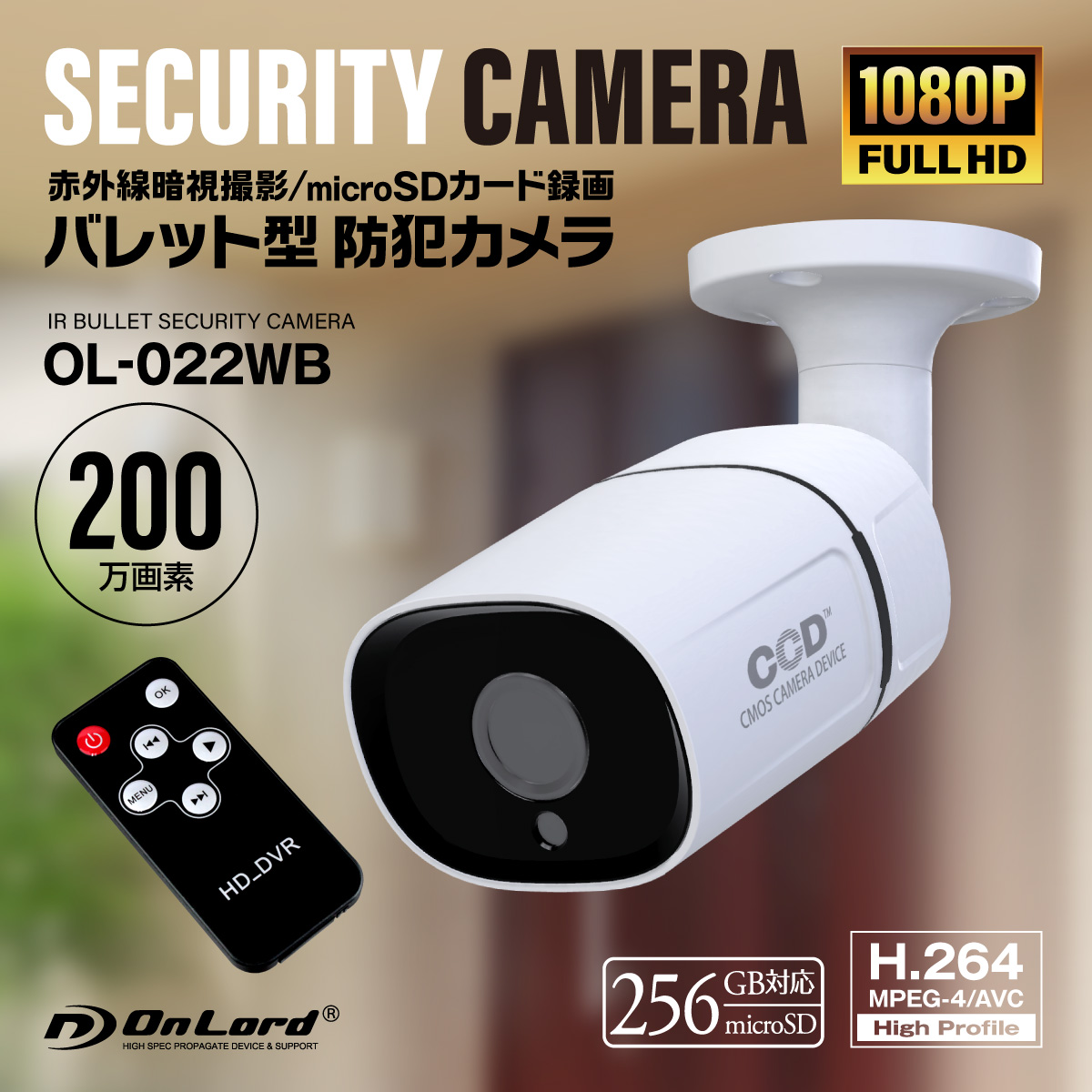 SDカード防犯カメラ 屋外 録画装置内蔵 強力赤外線LED OL-022BW オン