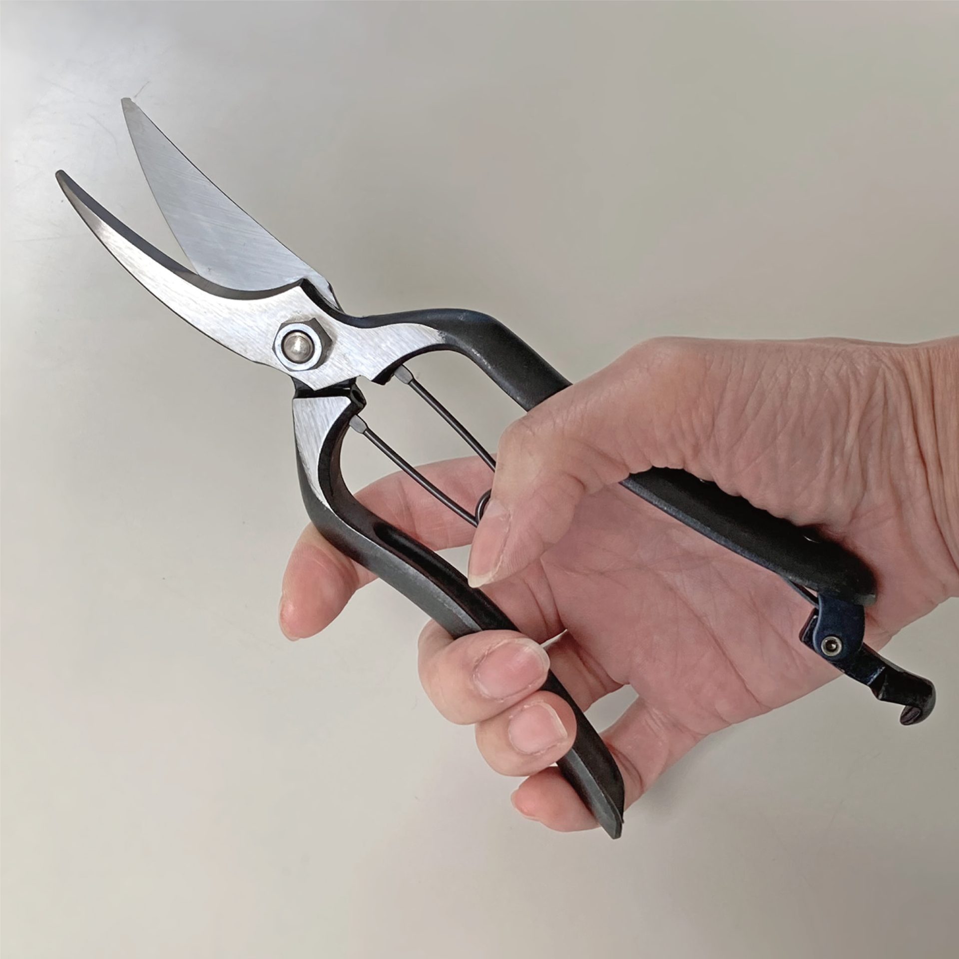 2503 - キンボシ株式会社