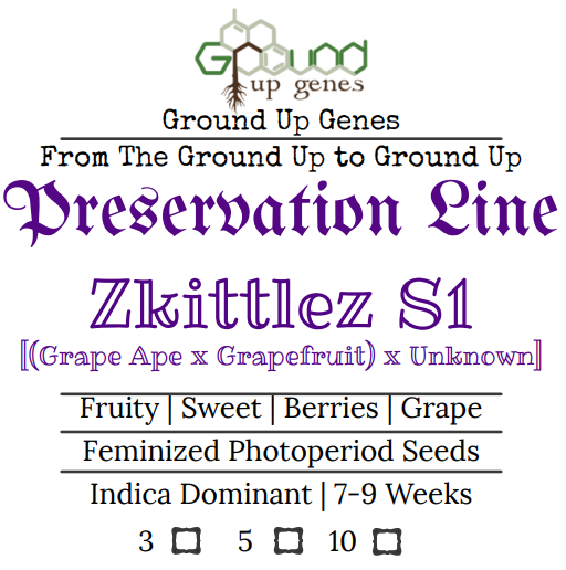 2x Seed Sale Ground Up Genes Preservation Packs – Zkittlez S1