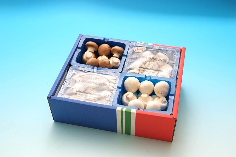 マッシュルームセット｜長谷川農産マッシュルーム