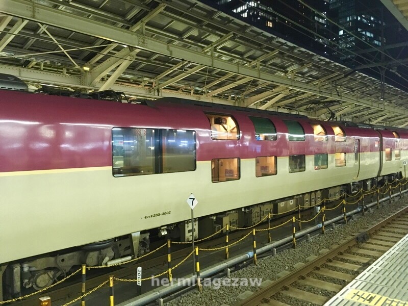 285系パンタグラフ増設車: 臨zawa混合列車