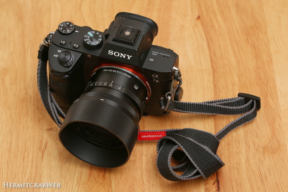 SIGMA 45mm F2.8 DG DN】シグマらしからぬホワホワ感はどんな感じで