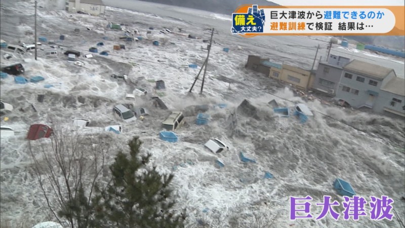 押し寄せる津波は12.4m 被害を最小限にするための自治体と大学の取組