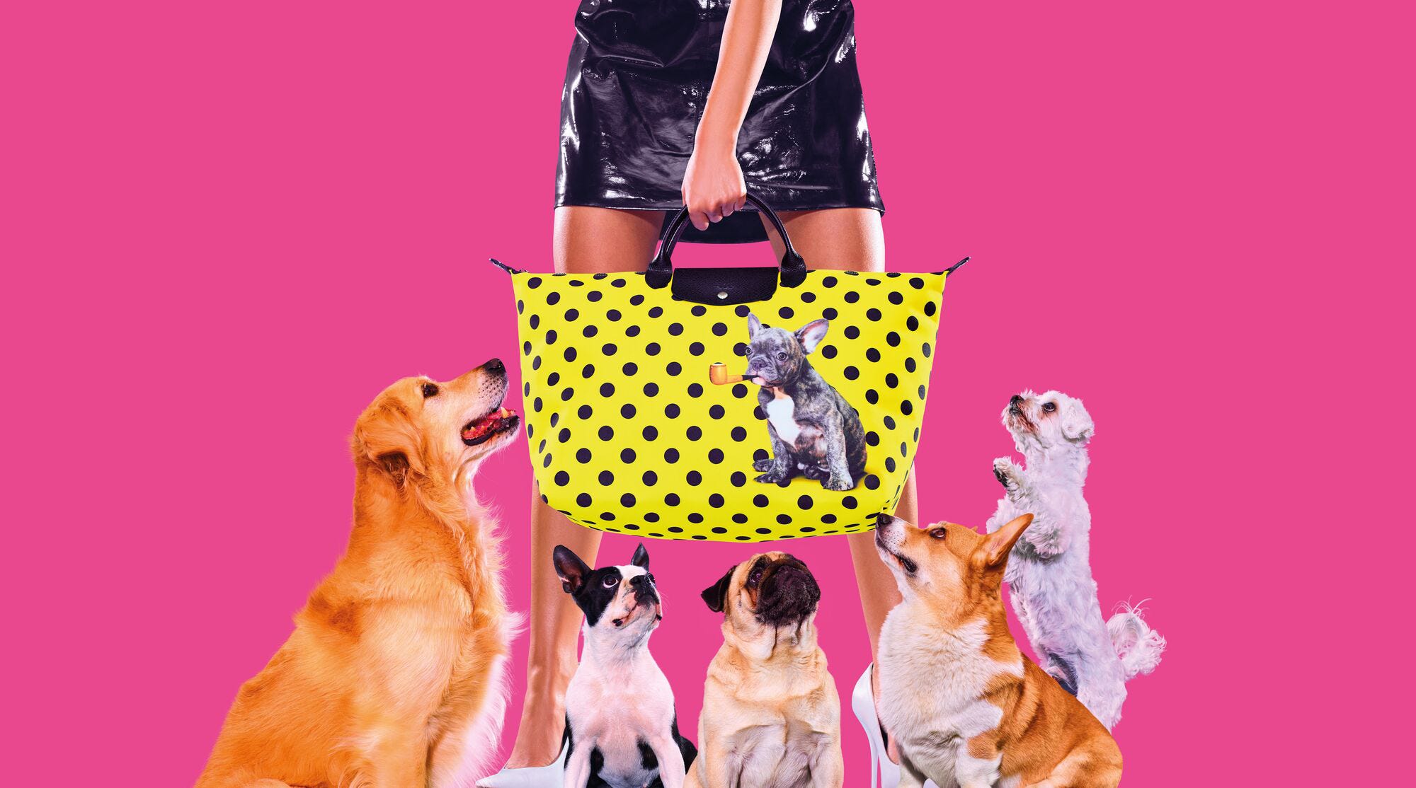 ロンシャン」とアート誌『トイレットペーパー』がコラボ！ プレイフル