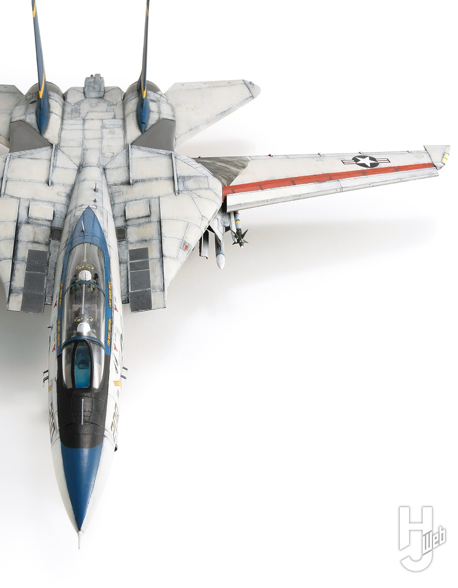 アメリカ海軍グラマンF-14“トムキャット”戦闘機の作例をピックアップ