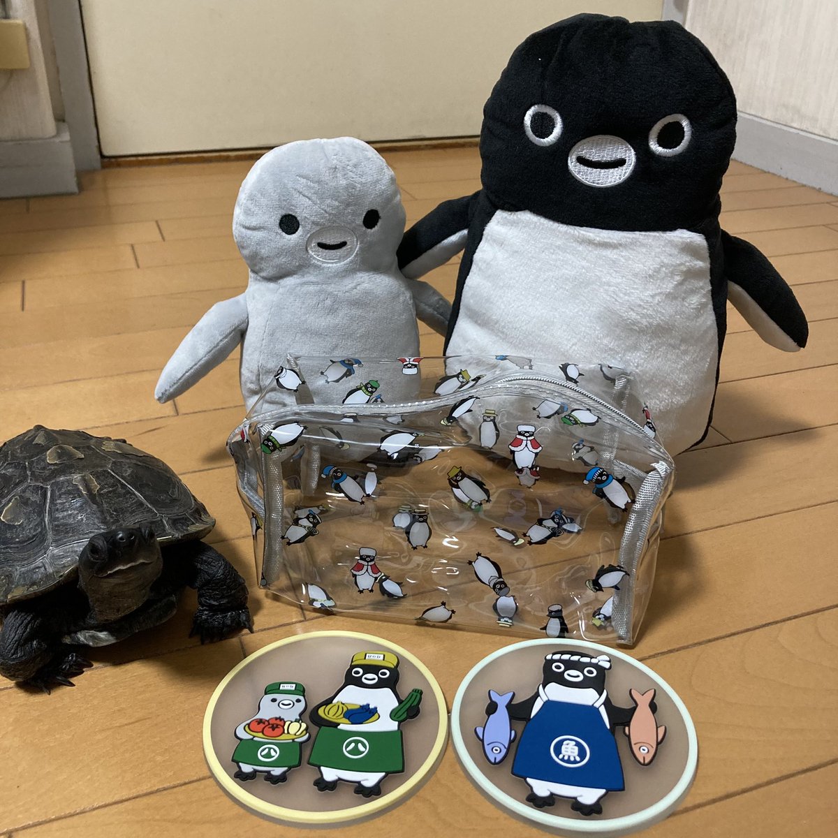 Suica福袋[2026]の中身をネタバレします！🐧かわいさ満点のアイテムが