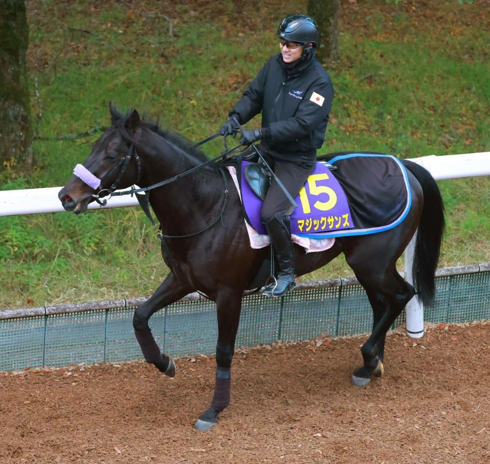 京都＆中山の危険な人気馬】マジックサンズ 中山11RホープフルS