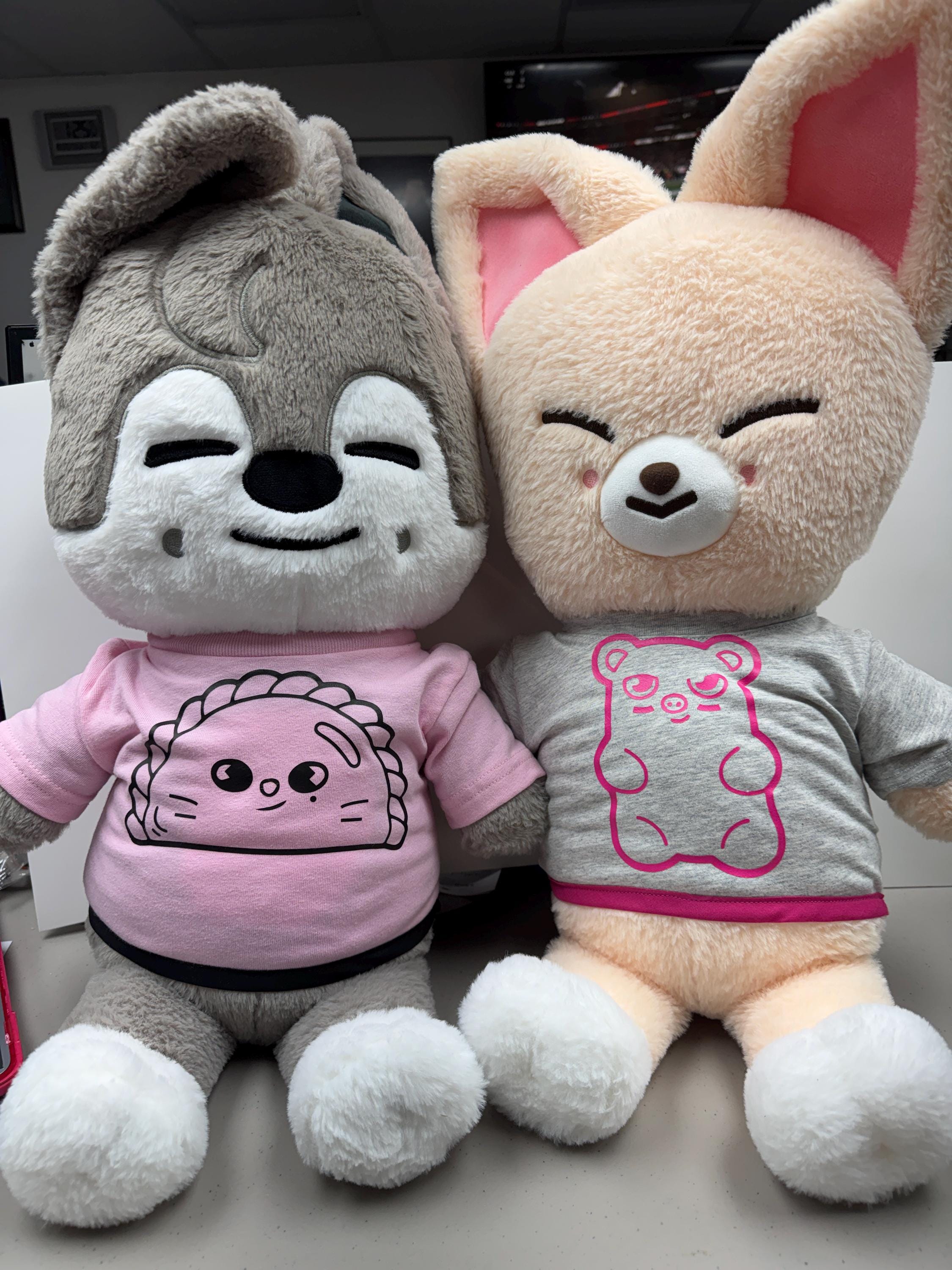 Skzoo Teddy Bear Official - Etsy