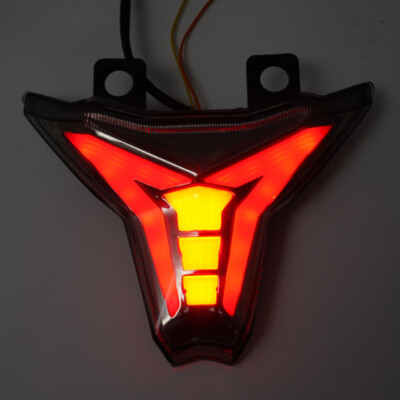 Integrated LED Tail Light Turn Signal Fits 2019-2023 KAWASAKI