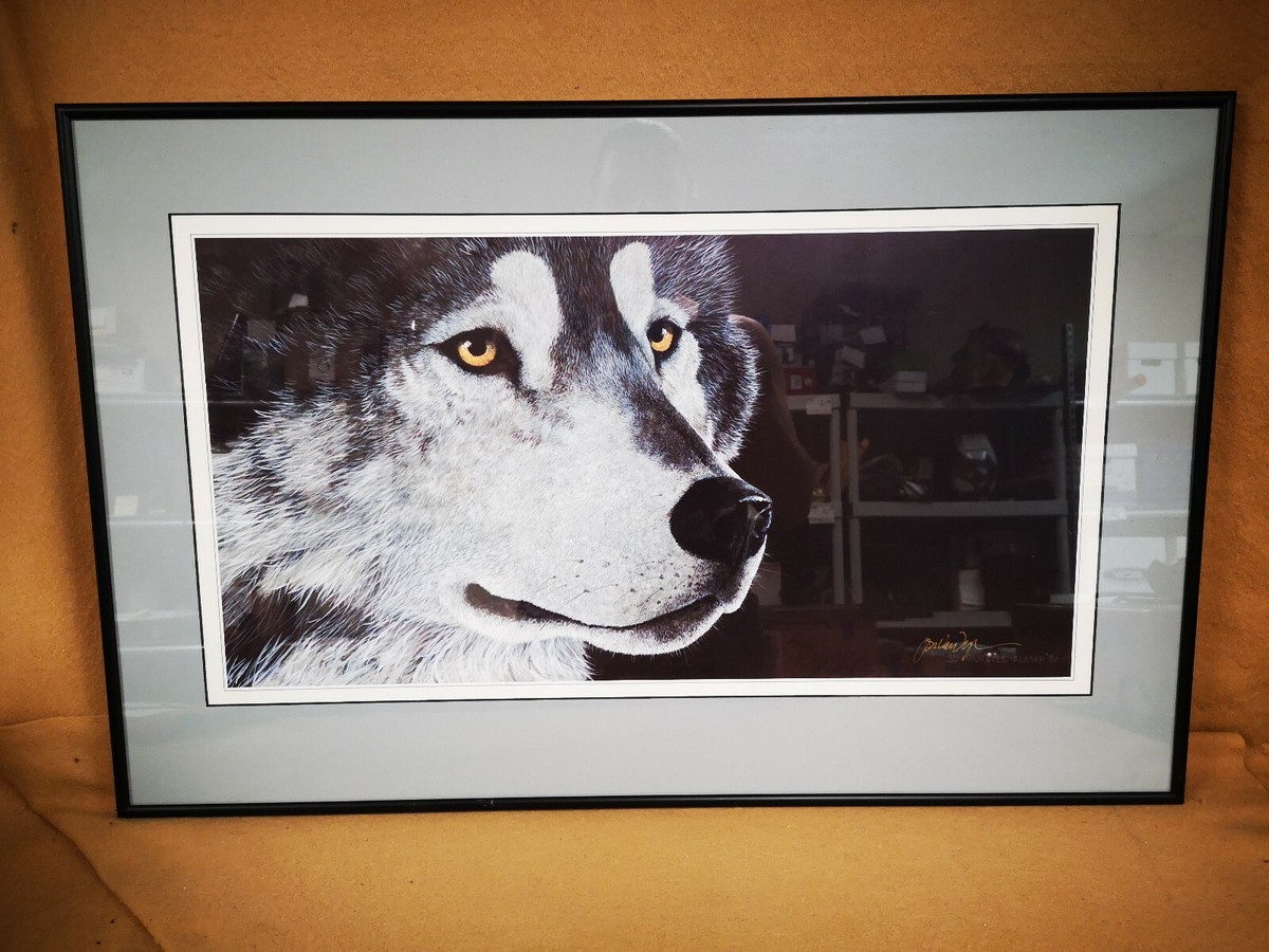 JON VAN ZYLE – SIGNED / framed Wolf print - Better to See You With