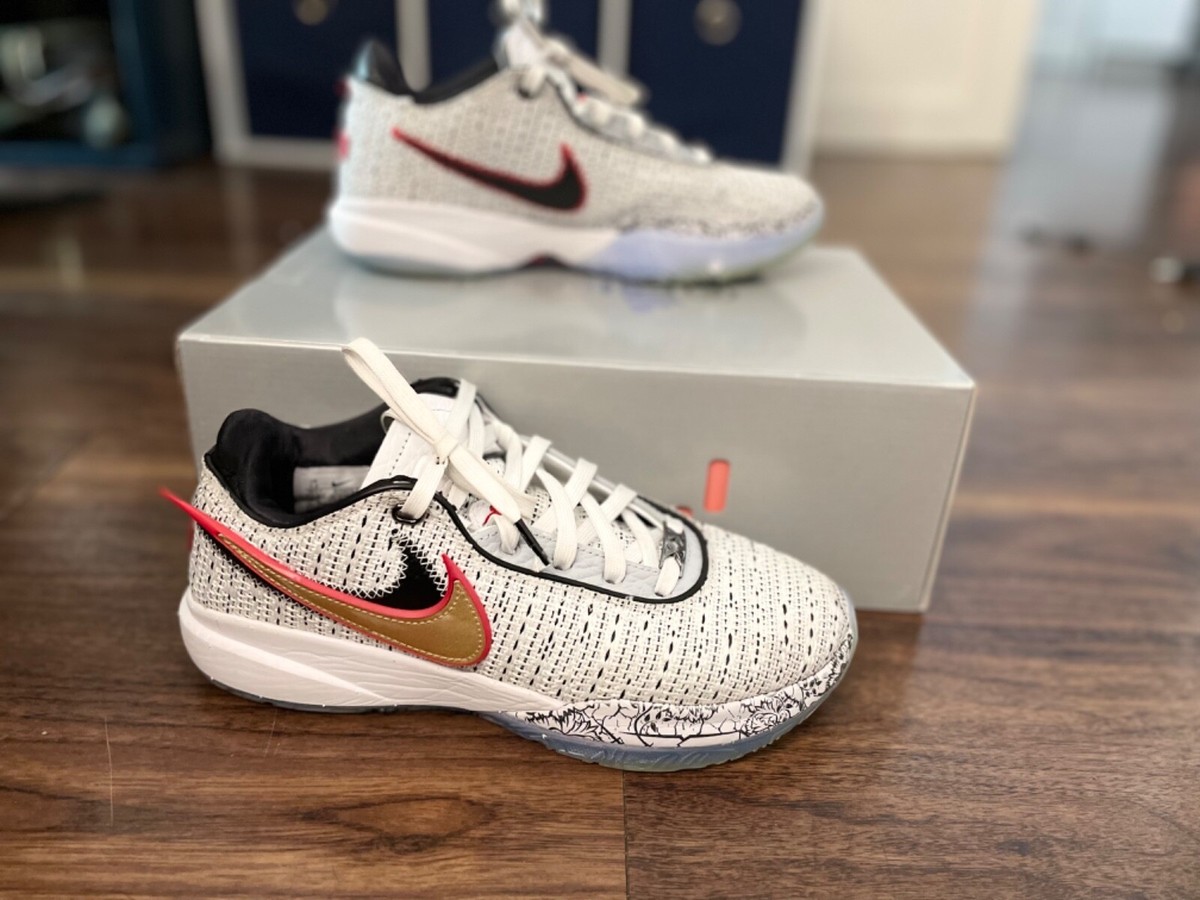 Nike LeBron 20 The Debut 2022 | eBay