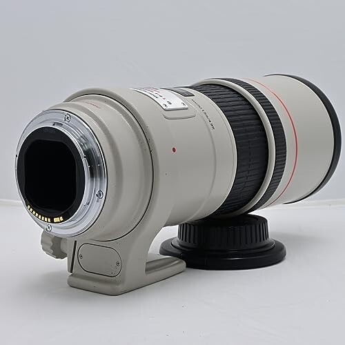 Canon EF 300mm f/4 L IS USM Lens for sale online | eBay