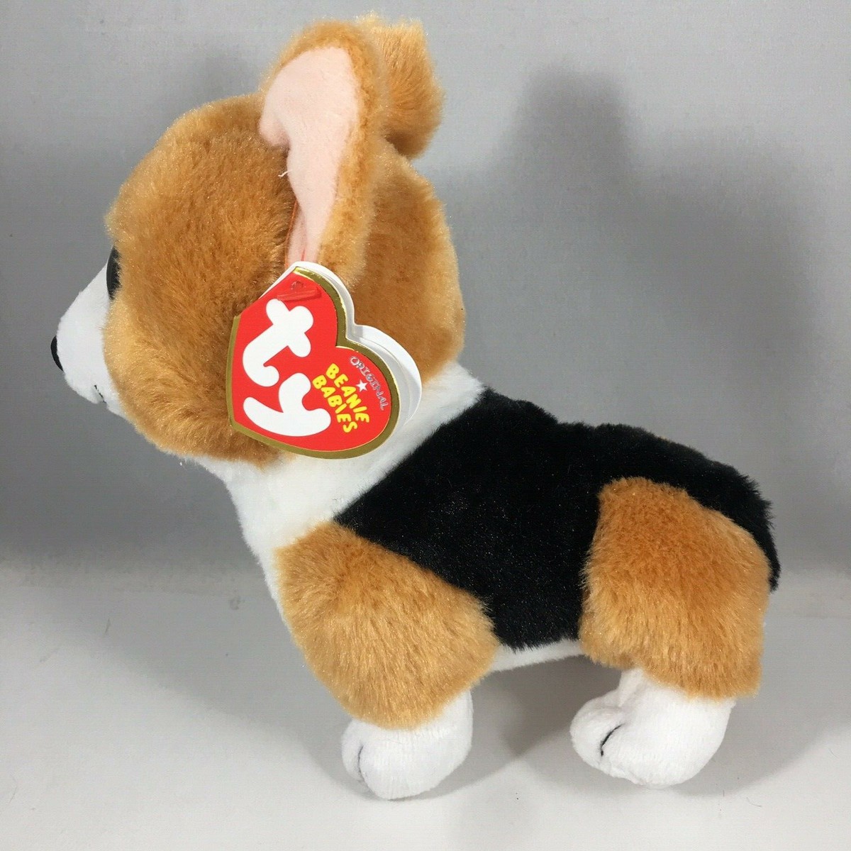 Ty Beanie Baby COLIN the Pembroke Welsh Corgi Dog 6