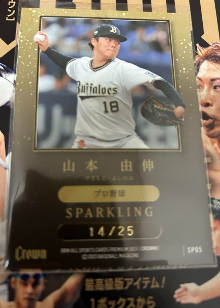 高木美帆 BBM2023 CROWN クラウン15枚限定 縦 直筆サインカード