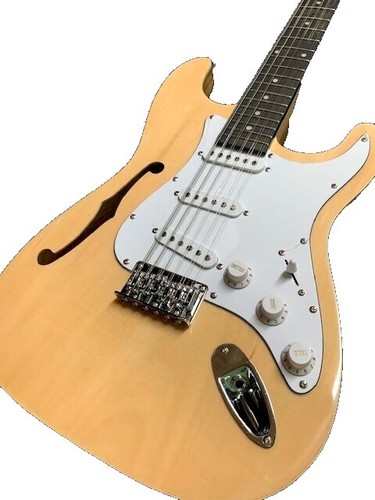 Electric Guitar History HTL/ash-Premium/LTD AWHB Made in Japan S/N