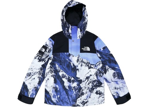 Supreme x The North Face Arc Logo Mountain Parka Red Black SS19