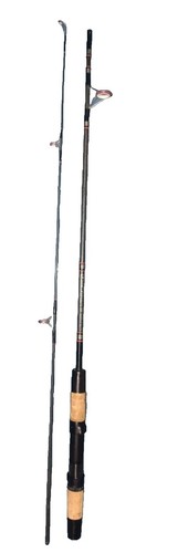 Daiwa Morethan BRANZINO EX AGS 87ML Spinning Rod | eBay