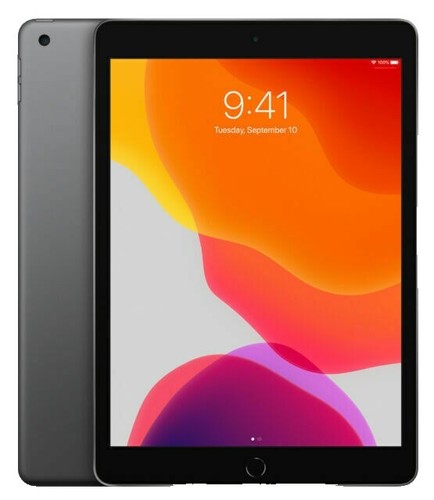 Apple iPad Air 2 Wi-Fi (A1566) 128 GB Wi-Fi Only Space Gray | eBay