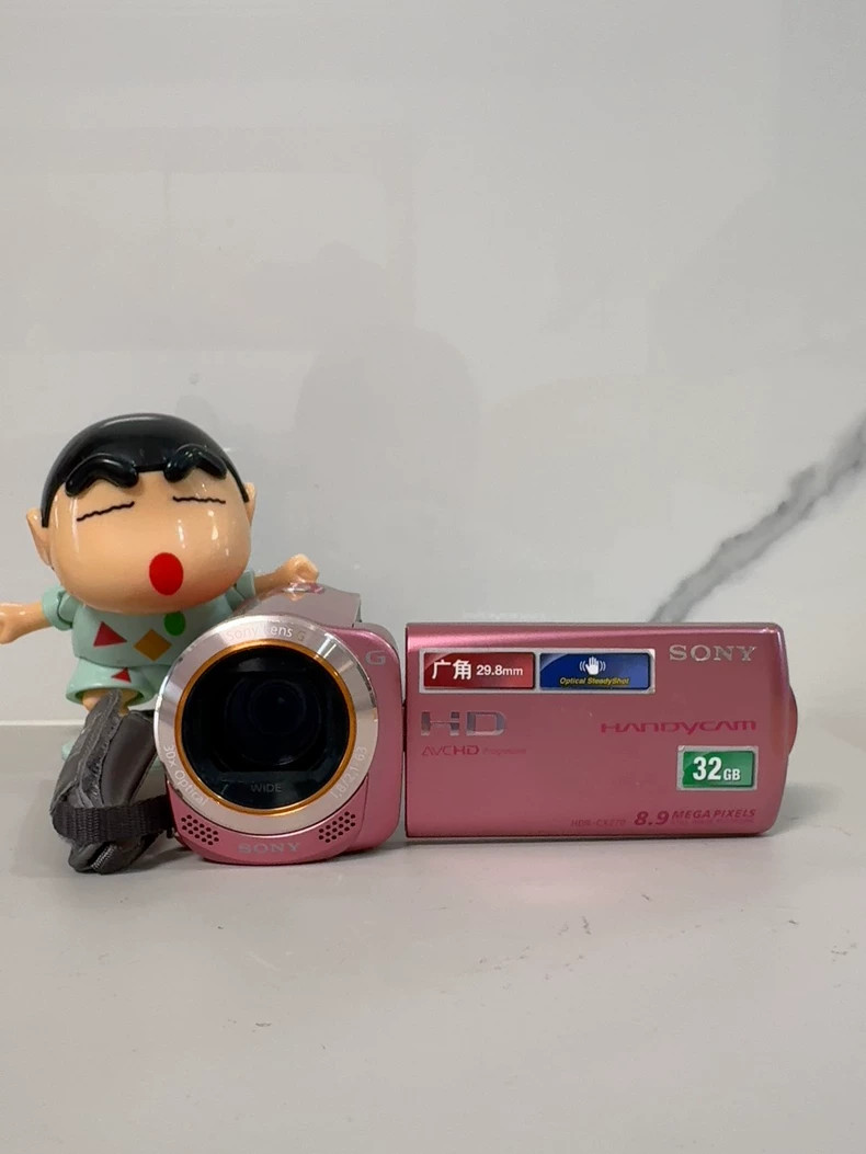 SONY HDR-CX270E Handycam Sakura Pink Digital Video Camera 30x