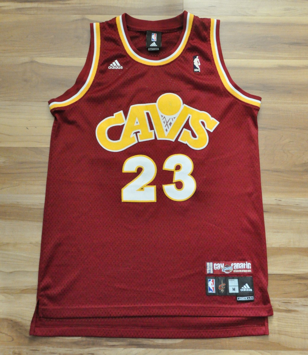 LeBron James Cleveland Adidas Jersey Swingman HWC Cavs Fanatic