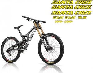 Santa Cruz V10 | eBay