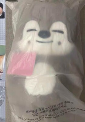 Stray Kids SKZOO WolfChan Official Plush Doll H 60cm Teddy Ver 5