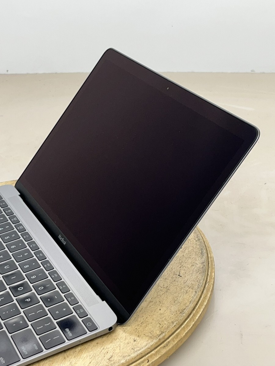 APPLE MACBOOK A1534 12