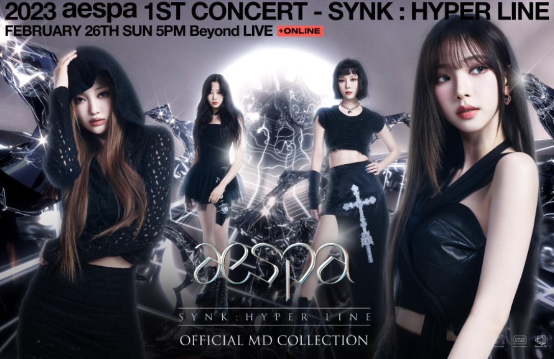 aespa 2023 1st Concert SYNK : HYPER LINE OFFICIAL MD ACRYLIC STAND