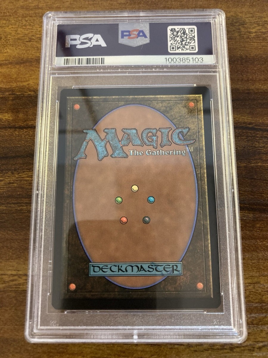 MTG✨PLAINS Full Art FOIL✨SLD- Raining Cats & Dogs PSA 10 RARE