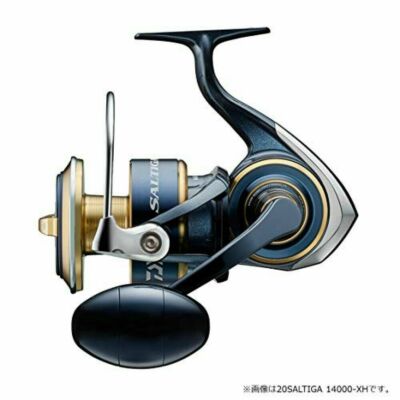 2020 NEW DAIWA REEL 20 Saltiga 8000-H | eBay