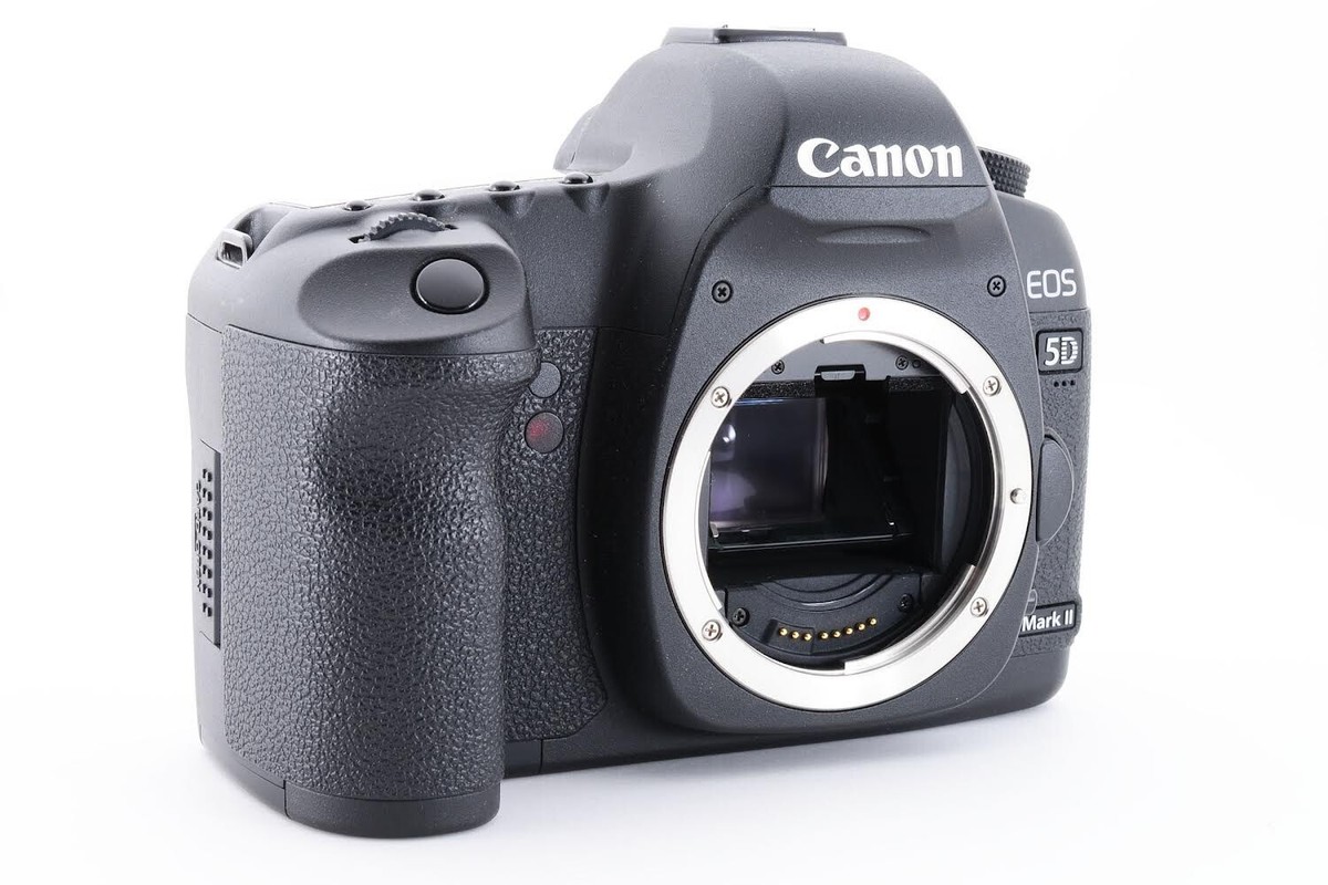 Canon EOS 5D Mark MK II 2 Digital SLR Camera Set W. Memory Card