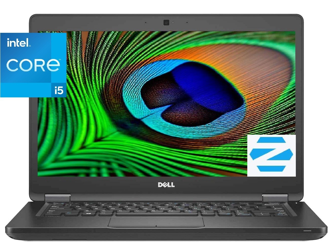 DELL Latitude Laptop: Intel i5! 16GB RAM! 256GB SSD! Zorin Core