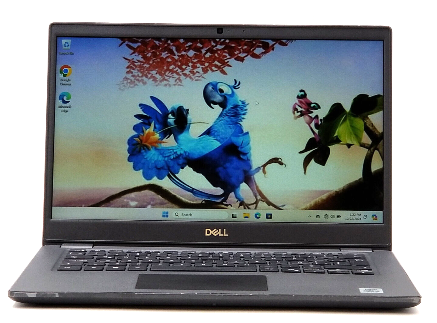 Dell Latitude 14