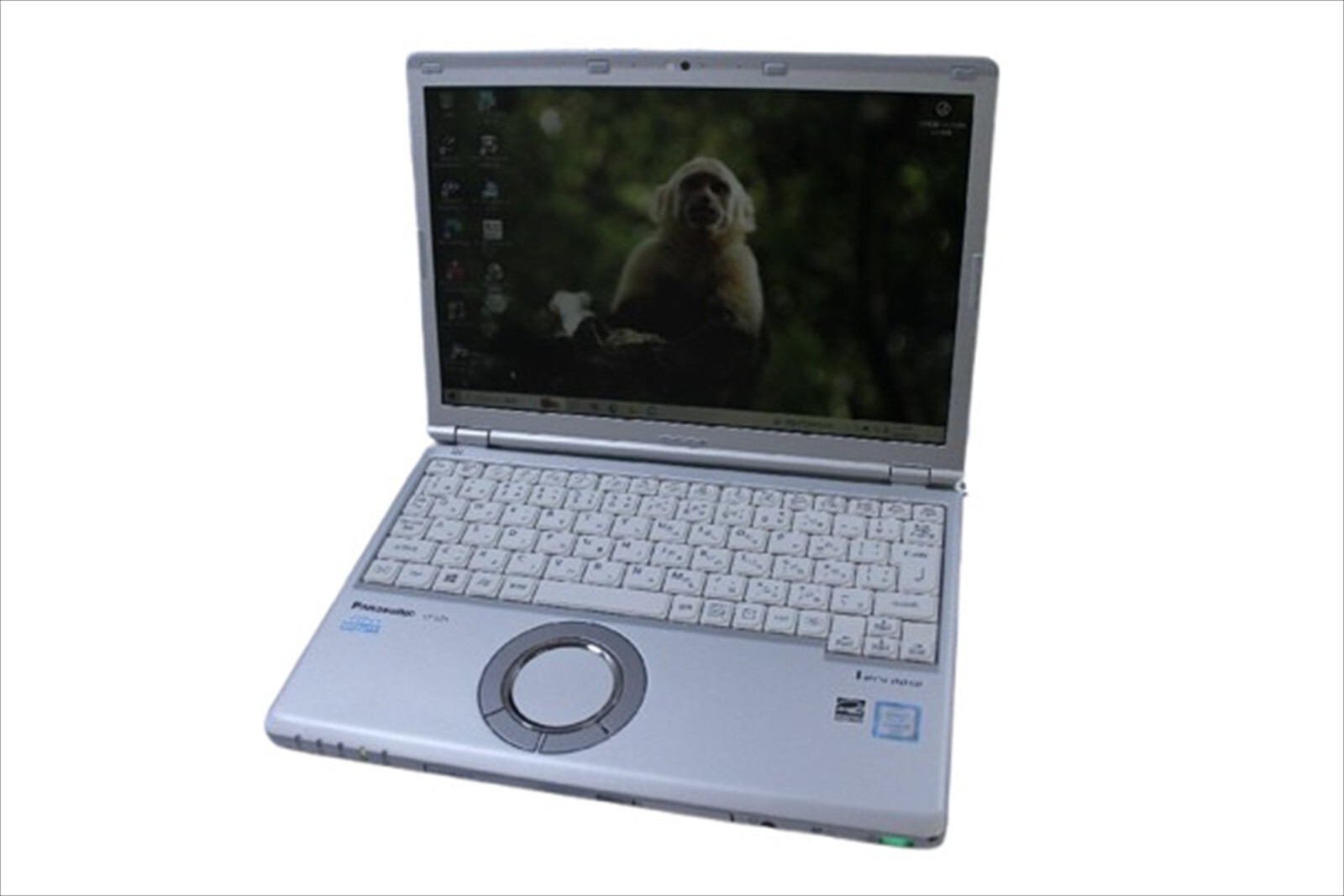 $_57.JPG?set_id=880000500F