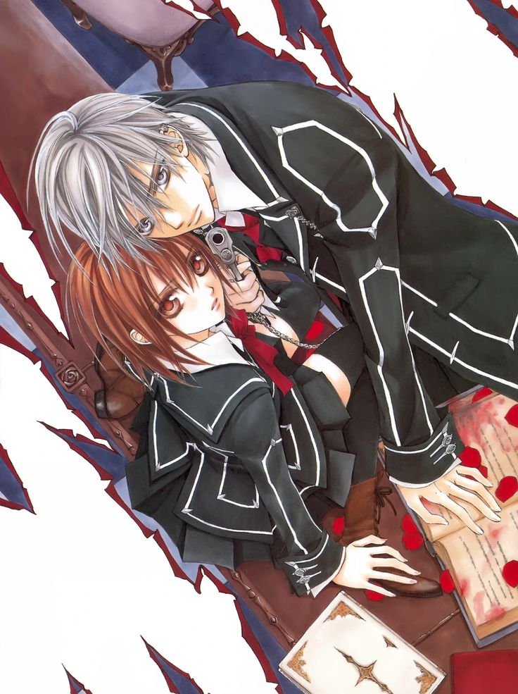 Hino Matsuri Illustration - Vampire Knight