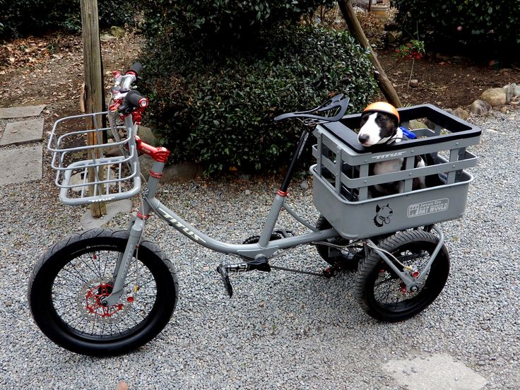 犬乗せ自転車