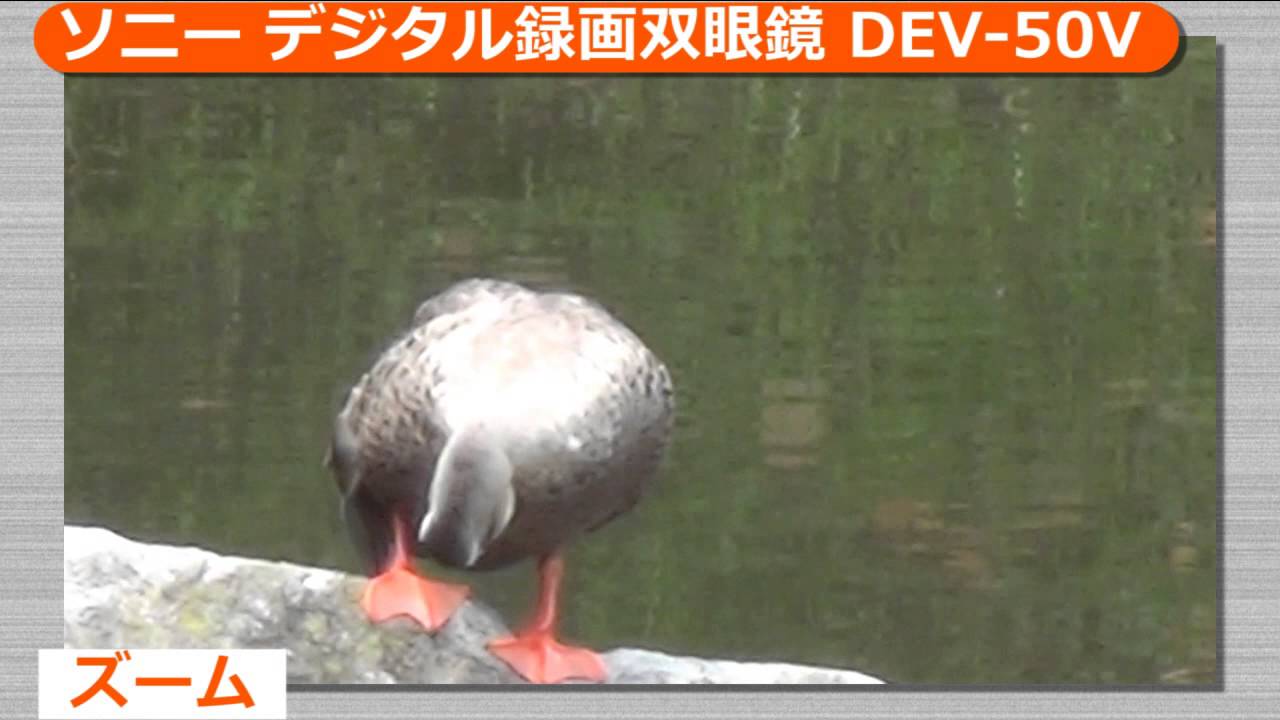ソニー デジタル録画双眼鏡 DEV-50V(カメラのキタムラ動画_SONY) - YouTube