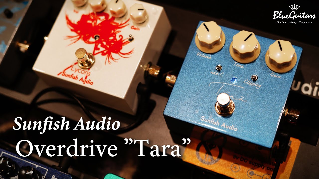 Blue Guitars - Sunfish Audio / Overdrive ”Tara” - YouTube